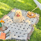 Bopomofo blanket