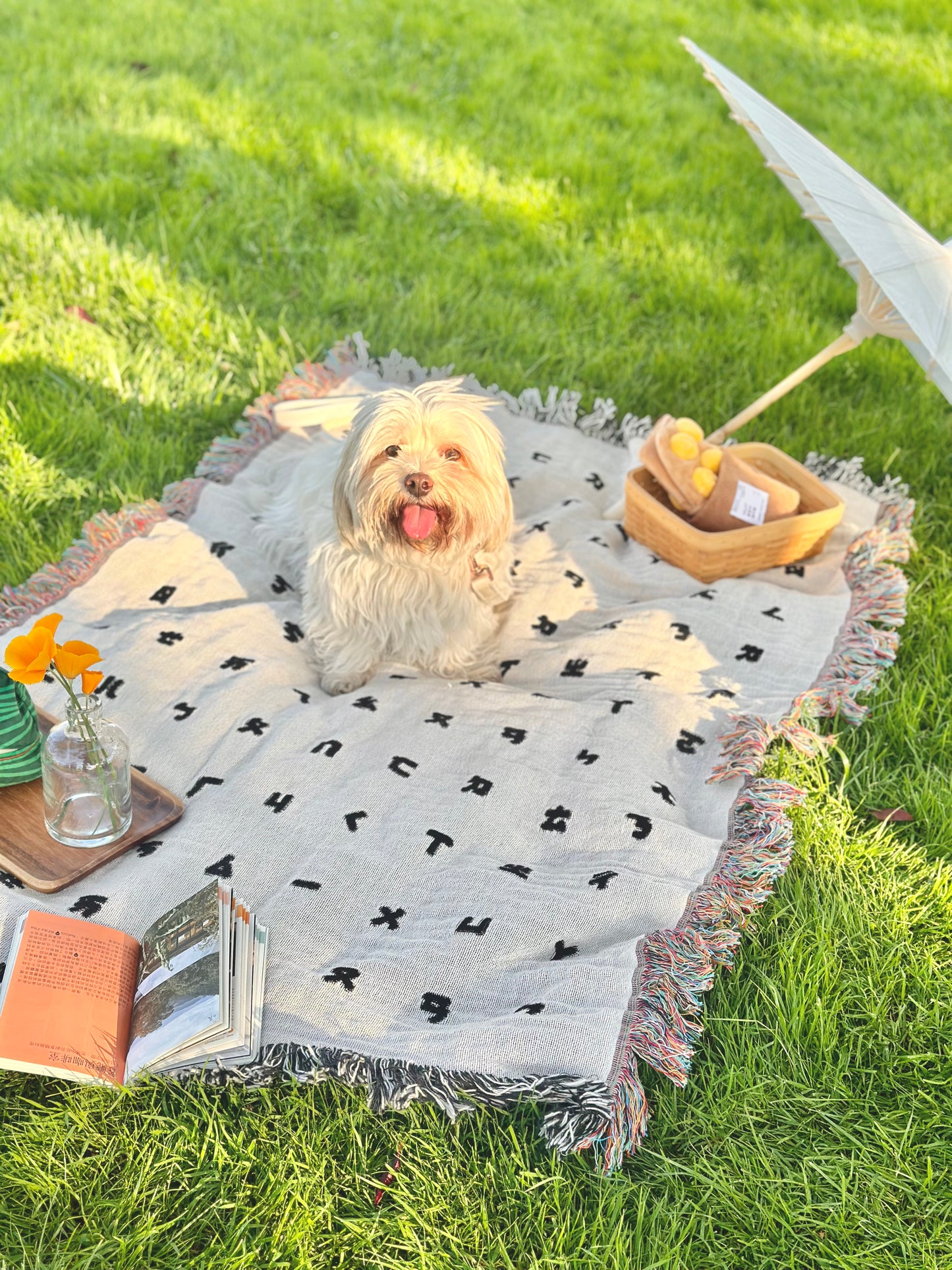 Bopomofo blanket