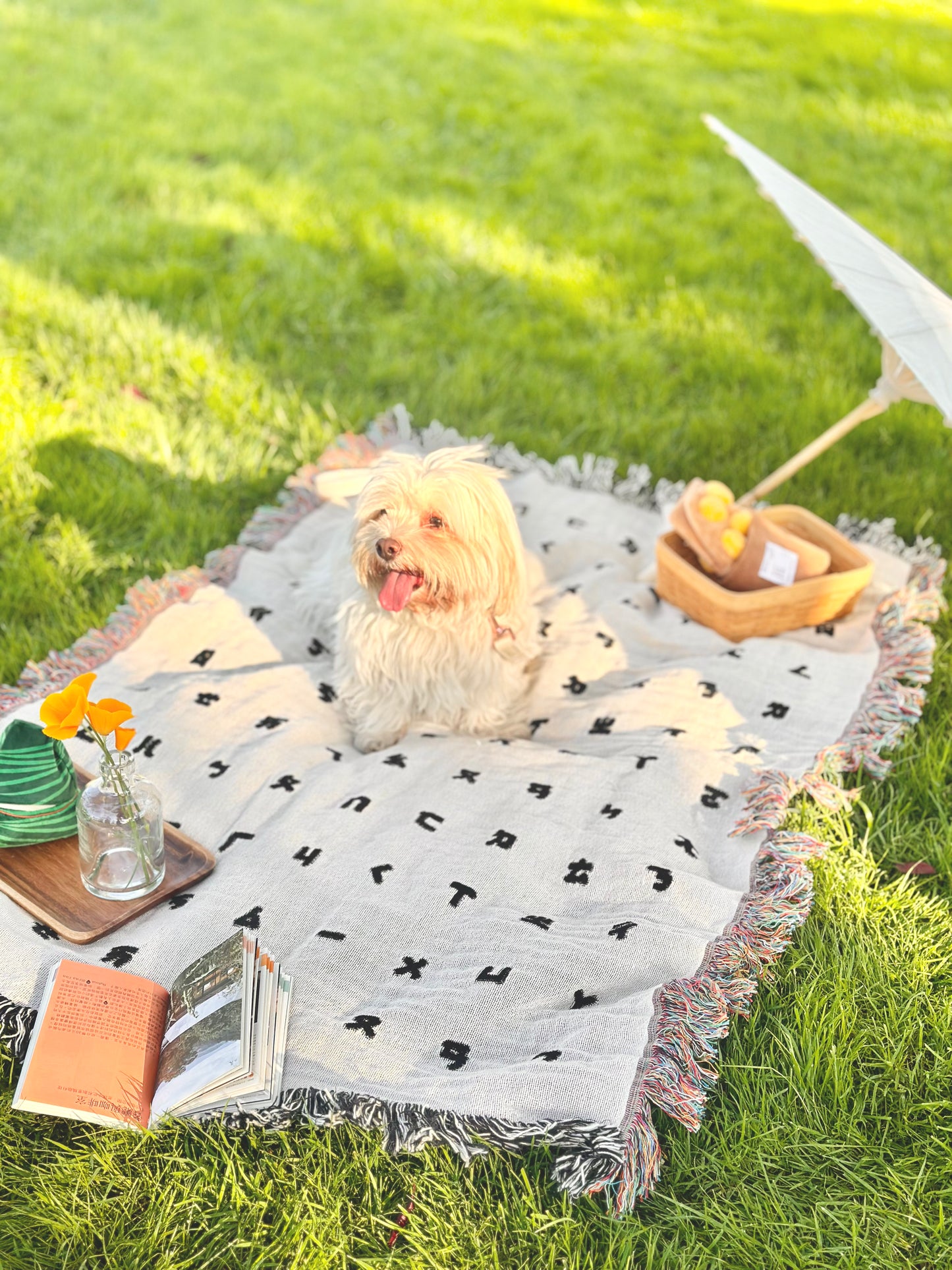 Bopomofo blanket