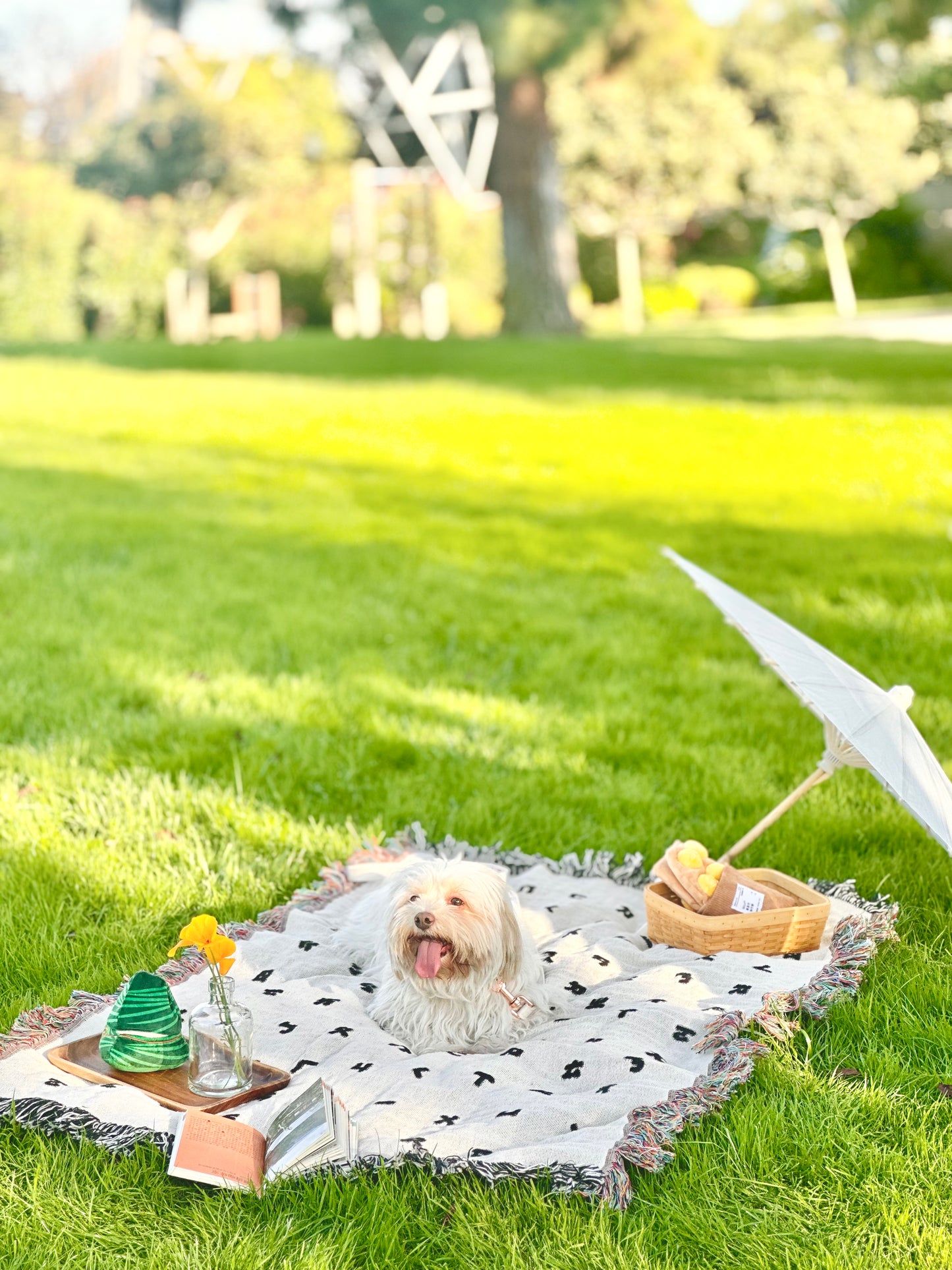 Bopomofo blanket