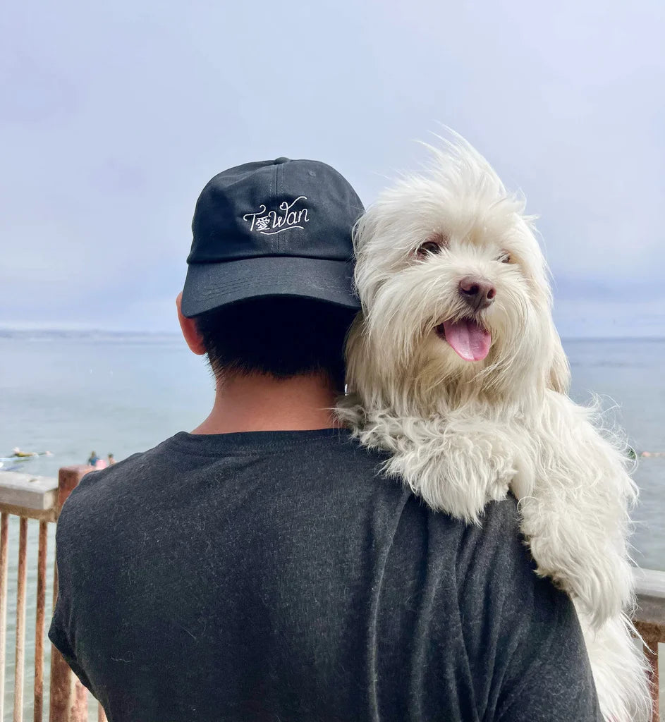 Taiwan Love embroidered hat